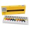 Winsor & Newton Galeria Acrylics - Set of 10, Assorted Colors, 60 ml
